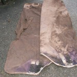 Muddy, soiled and mouldy horse and pony rug