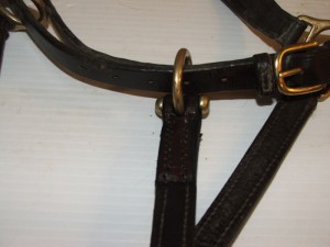 Repair to Leather Headcollar 