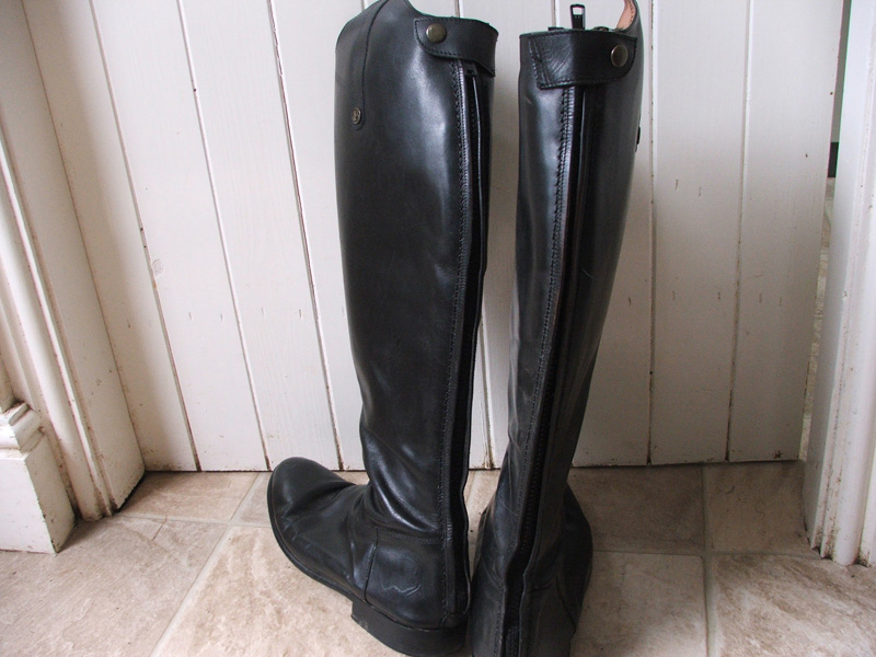 Zips in Long and Short Riding Boots