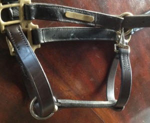 New leather straps handstitched onto leather headcollar